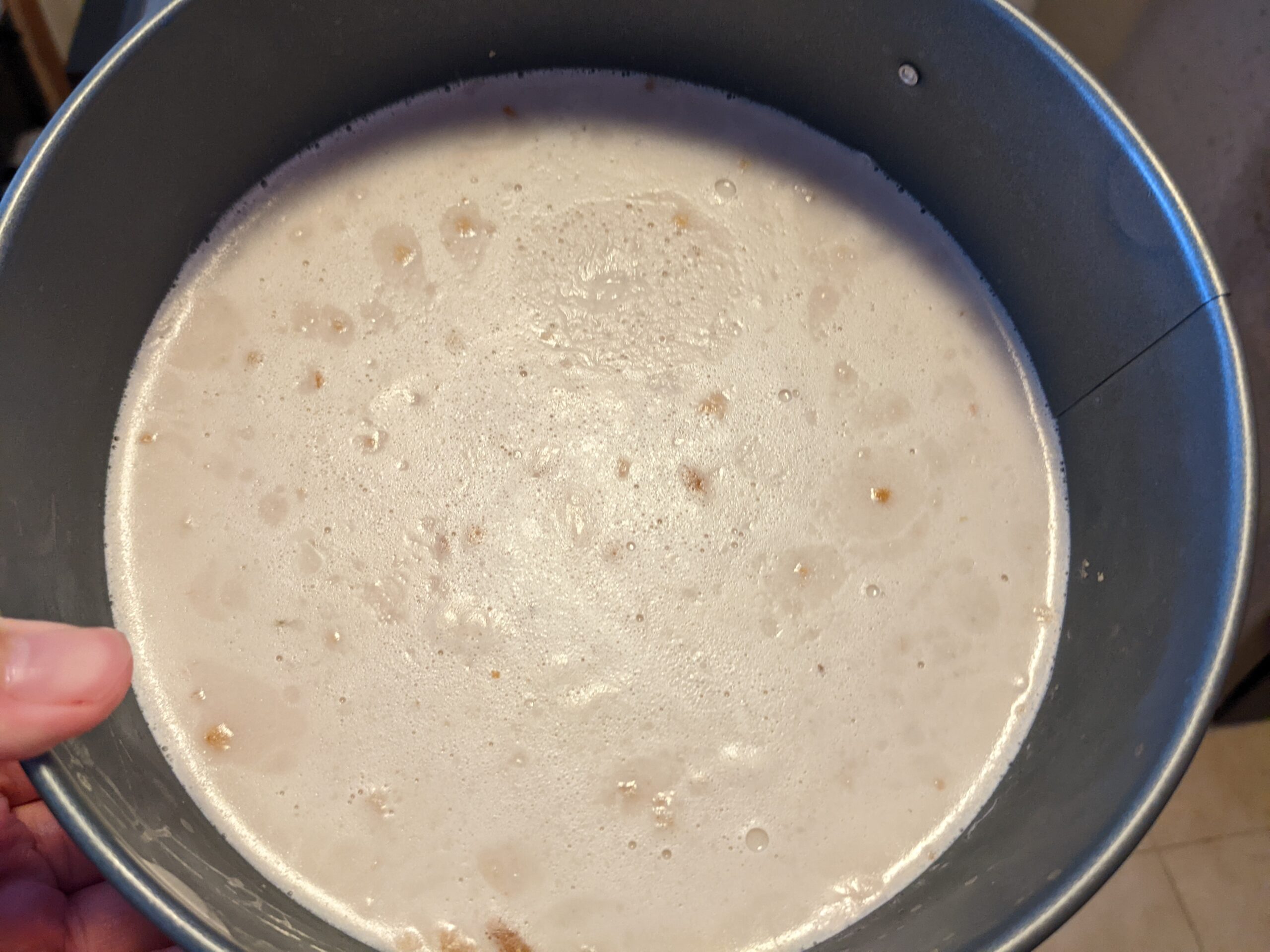 Matcha Mousse & Coconut Red Bean Jelly Cake Off the Map