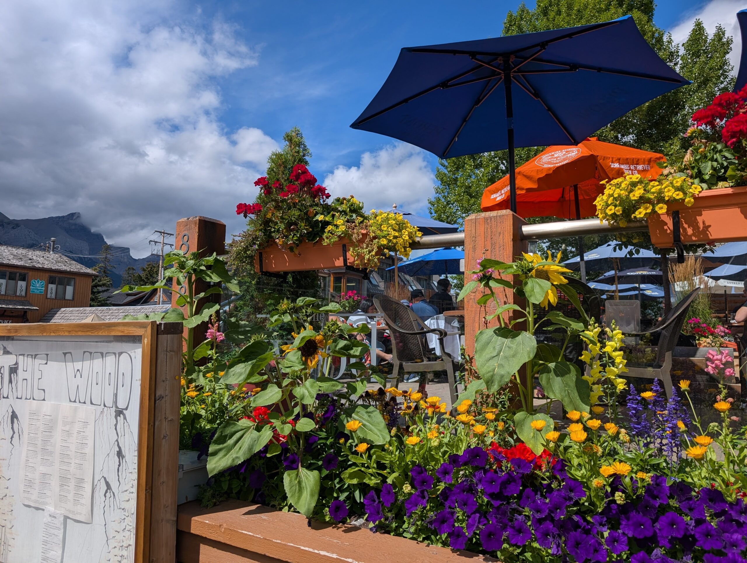 Canmore & Banff: Food + Walkaround Recommendations